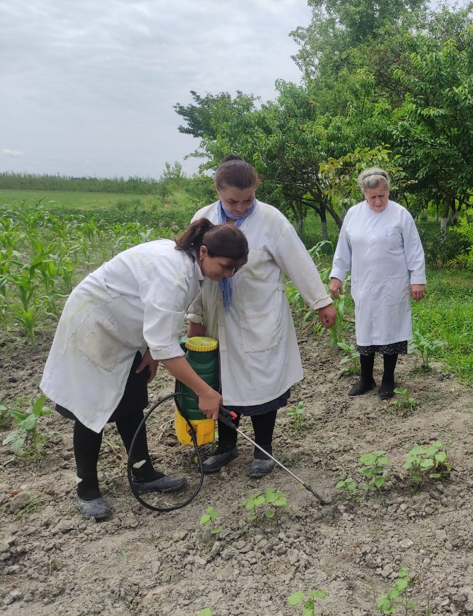 The cooperation continues between the Institute of Soil Science and Agrochemistry of the Ministry of Science and Education of the Republic of Azerbaijan and the Institute of Petrochemical Processes.