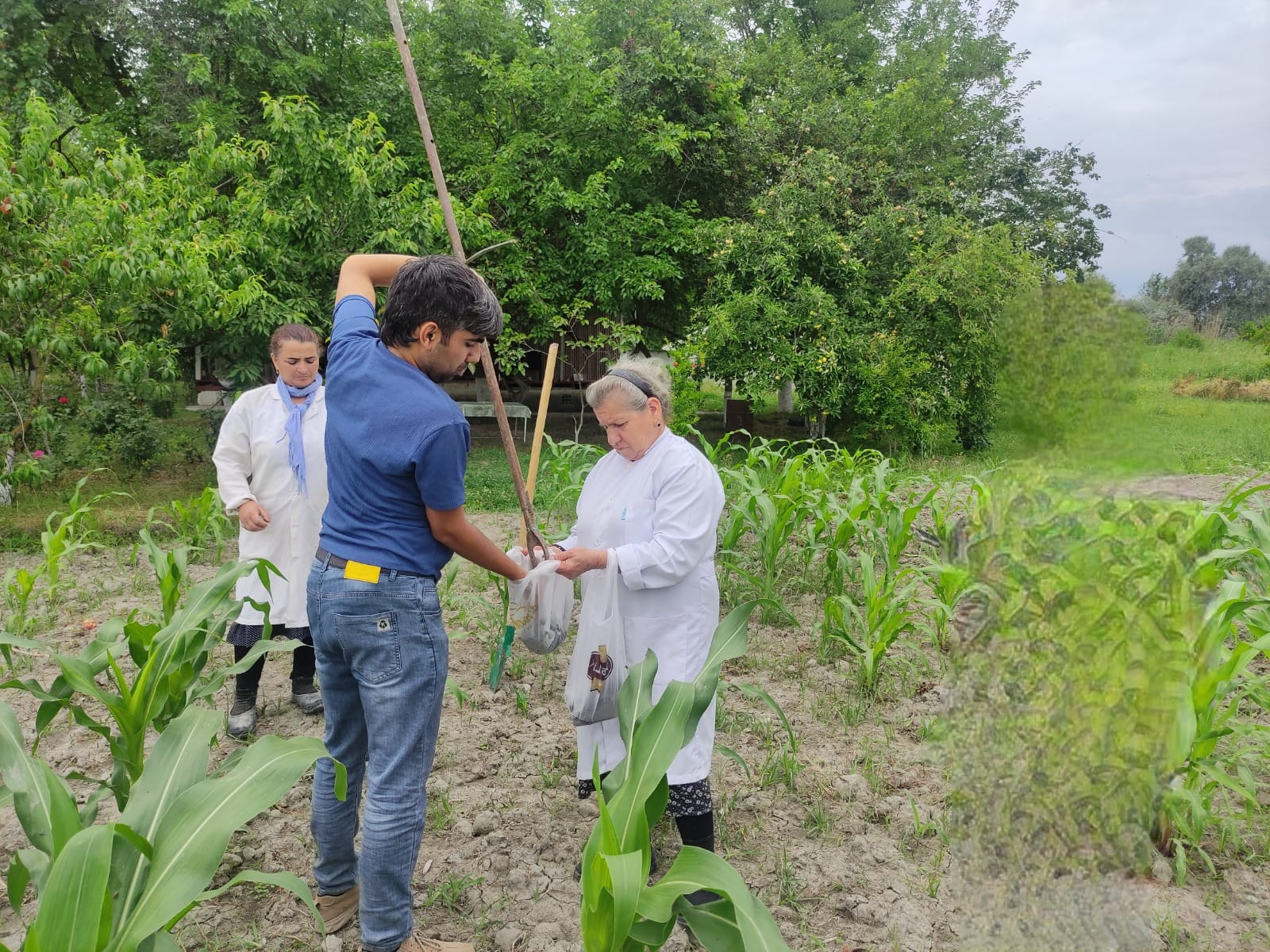 The cooperation continues between the Institute of Soil Science and Agrochemistry of the Ministry of Science and Education of the Republic of Azerbaijan and the Institute of Petrochemical Processes.