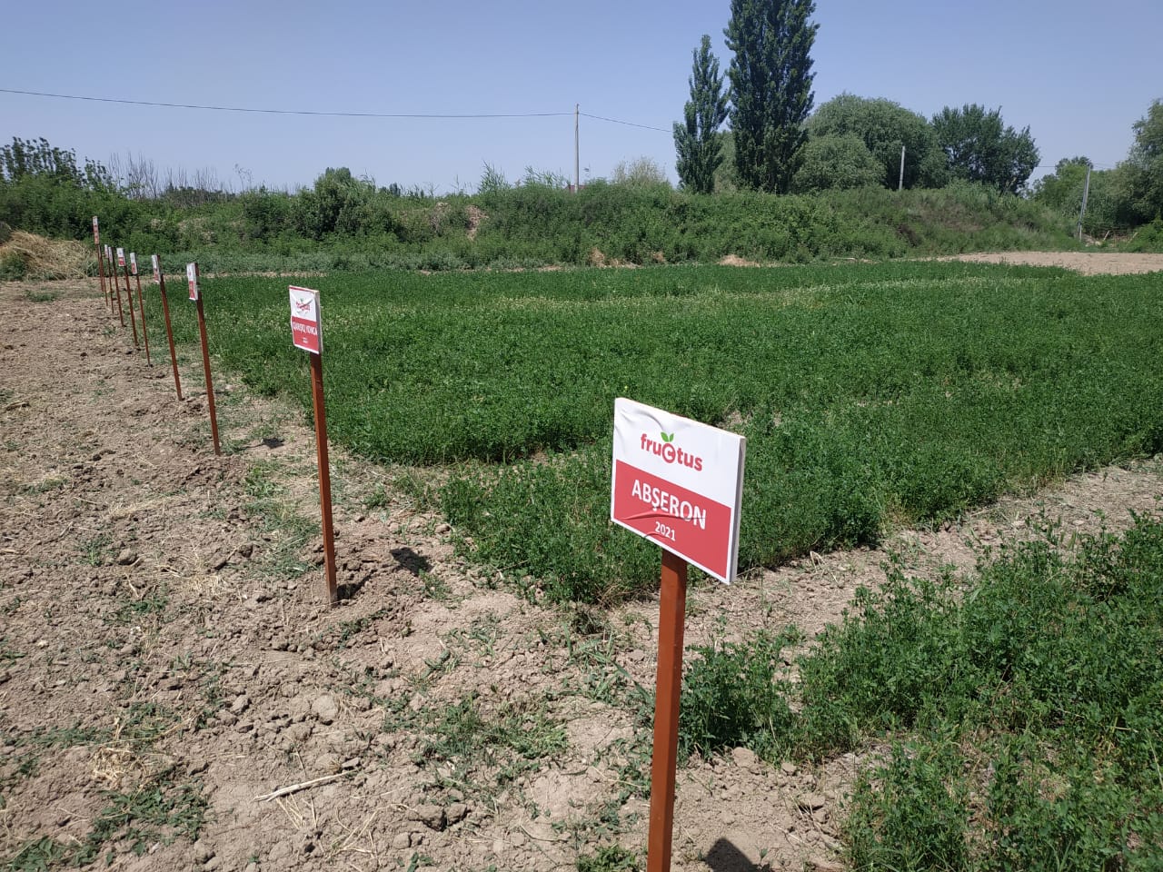 Employees of the Institute of Soil Science and Agrochemistry visited a selected research facility in Saatli district.